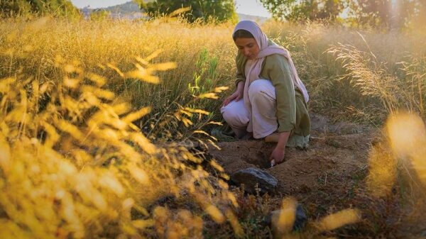 Saudi Arabia's Annual Saudi Green Initiative Day: Mobilizing Society for a Greener Future with SR705 Billion Investment in Renewable Energy and Afforestation