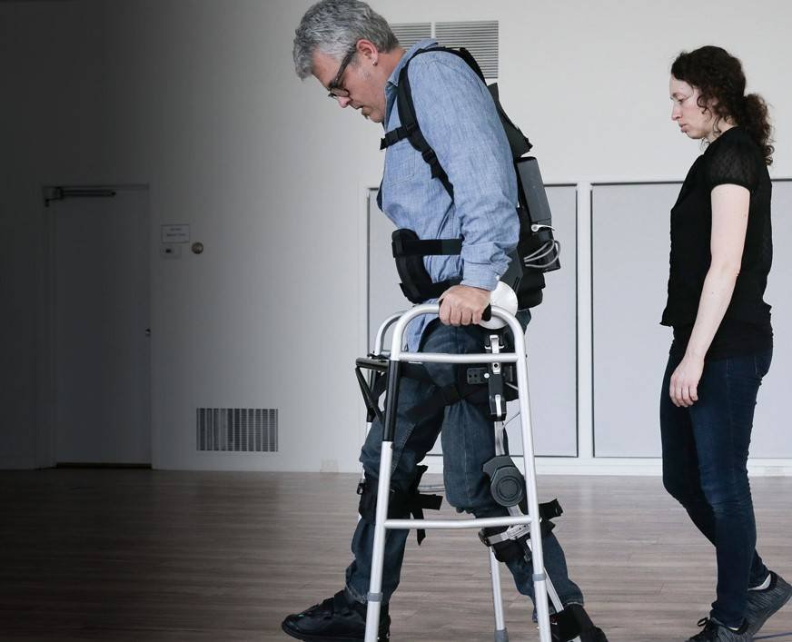 Spinal Cord's Independent Learning and Memory Abilities Revolutionize Understanding of Motor Control