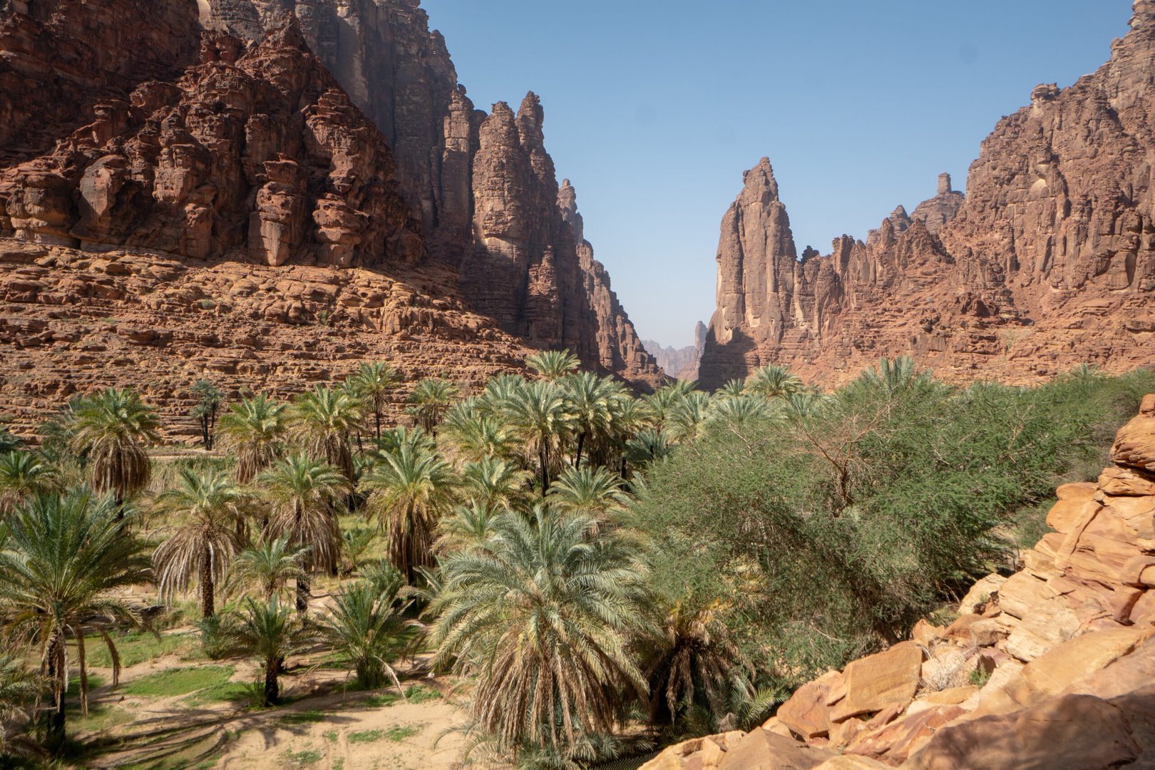 Sumer Saudi Summer Season to Begin in Saudi Arabia on June 1, 2024 - Saudi Press