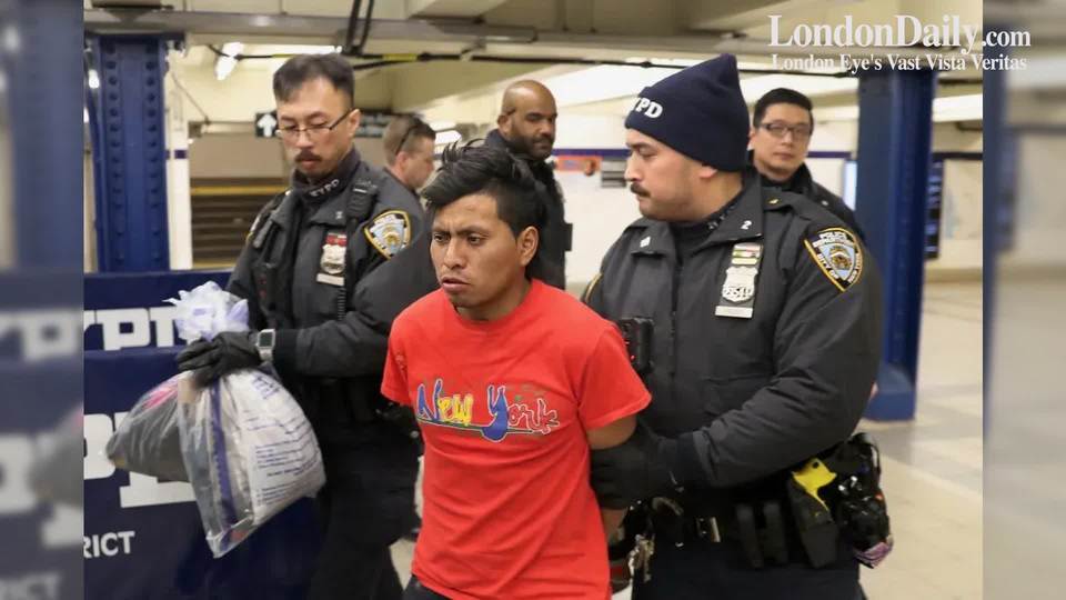 Migrant Suspect Arrested for Fatal Subway Arson in NYC - London Daily