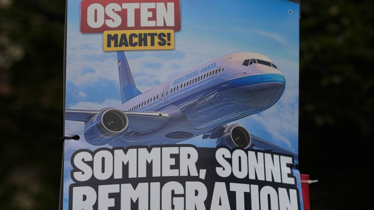 AfD Leadership Endorses 'Remigration' Policy Ahead of German Elections