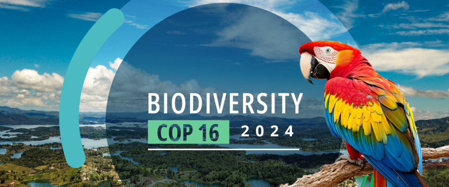 Las naciones acuerdan estrategias de financiamiento y monitoreo de la biodiversidad en la COP16.