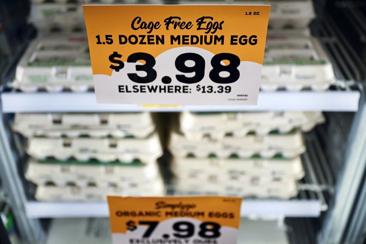 Eierpreise in den USA steigen während der Vogelgrippe-Krise: Importe aus der Türkei und Südkorea angekündigt