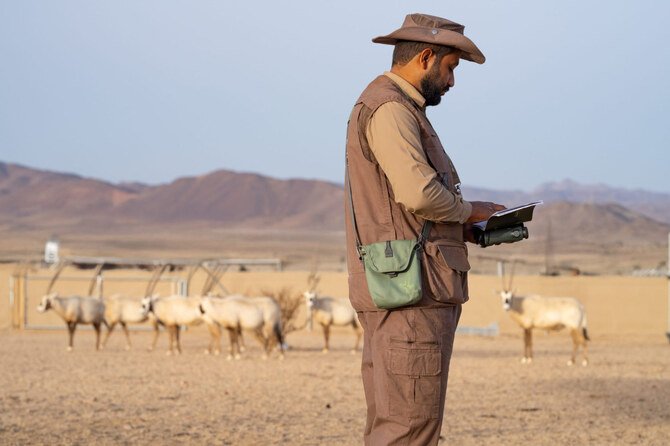 Prince Mohammed bin Salman Royal Reserve: A Commitment to Biodiversity in Saudi Arabia