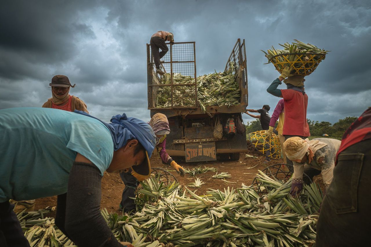 Disparities in Wages Highlight Regional Inequities in the Philippines