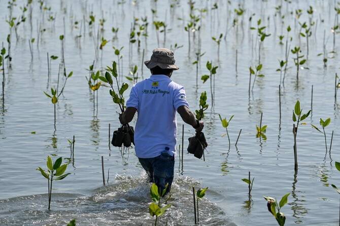 Indonesia Faces Environmental Concerns Over $6 Billion EV Battery Project