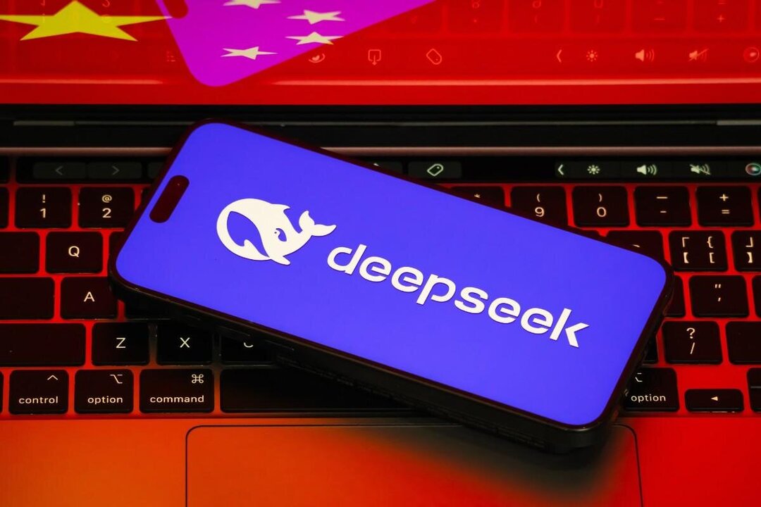 Germany Seeks to Block Chinese AI Firm Over Privacy Concerns