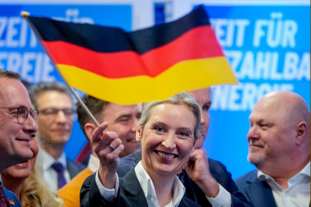 Calls Grow to Ban Germany’s Far-Right AfD Despite Rising Popularity