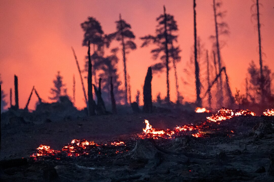 Wildfires in Eastern Germany Injure Firefighters and Force Evacuations