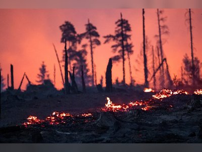 Wildfires in Eastern Germany Injure Firefighters and Force Evacuations