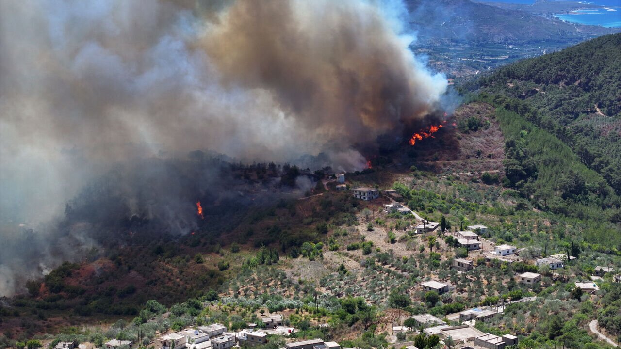 Syria Appeals for European Help as Wildfires Devastate Latakia