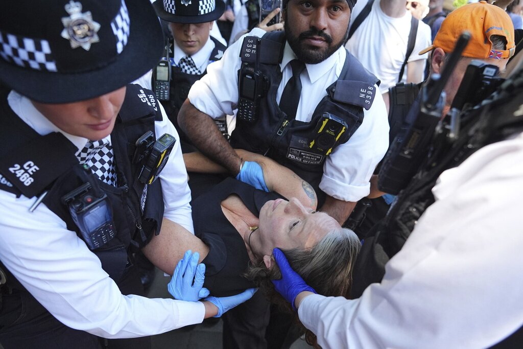 UK Police Arrest Dozens at Palestine Action Protests