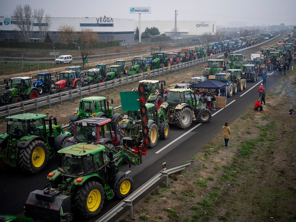 Hungarian Farmers Protest EU Funding Cuts by Dumping Manure at Headquarters