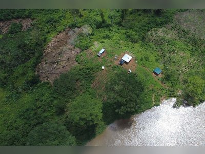 Costa Rica Courts Southeastern U.S. Buyers to Boost Exports