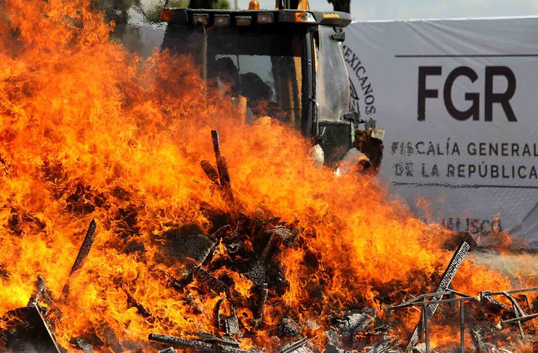 Costa Rica Dismantles Human Trafficking Ring Linked to Tren de Aragua