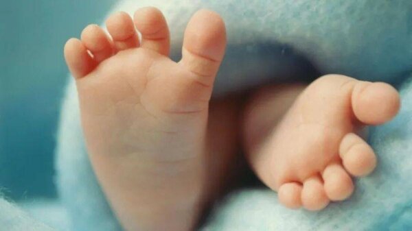 UK Scientists Pioneering Three-Person IVF Technique to Combat Hereditary Disease