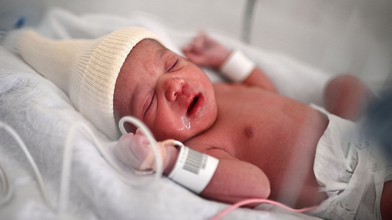 Germany’s Birth Rate Drops to Lowest Level in Two Decades