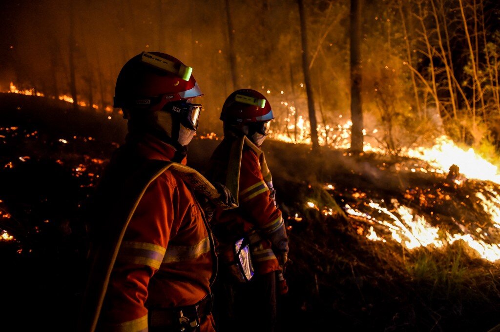 France Battles Wildfires with 1,500 Firefighters Deployed in South and West