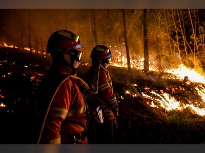 France Battles Wildfires with 1,500 Firefighters Deployed in South and West