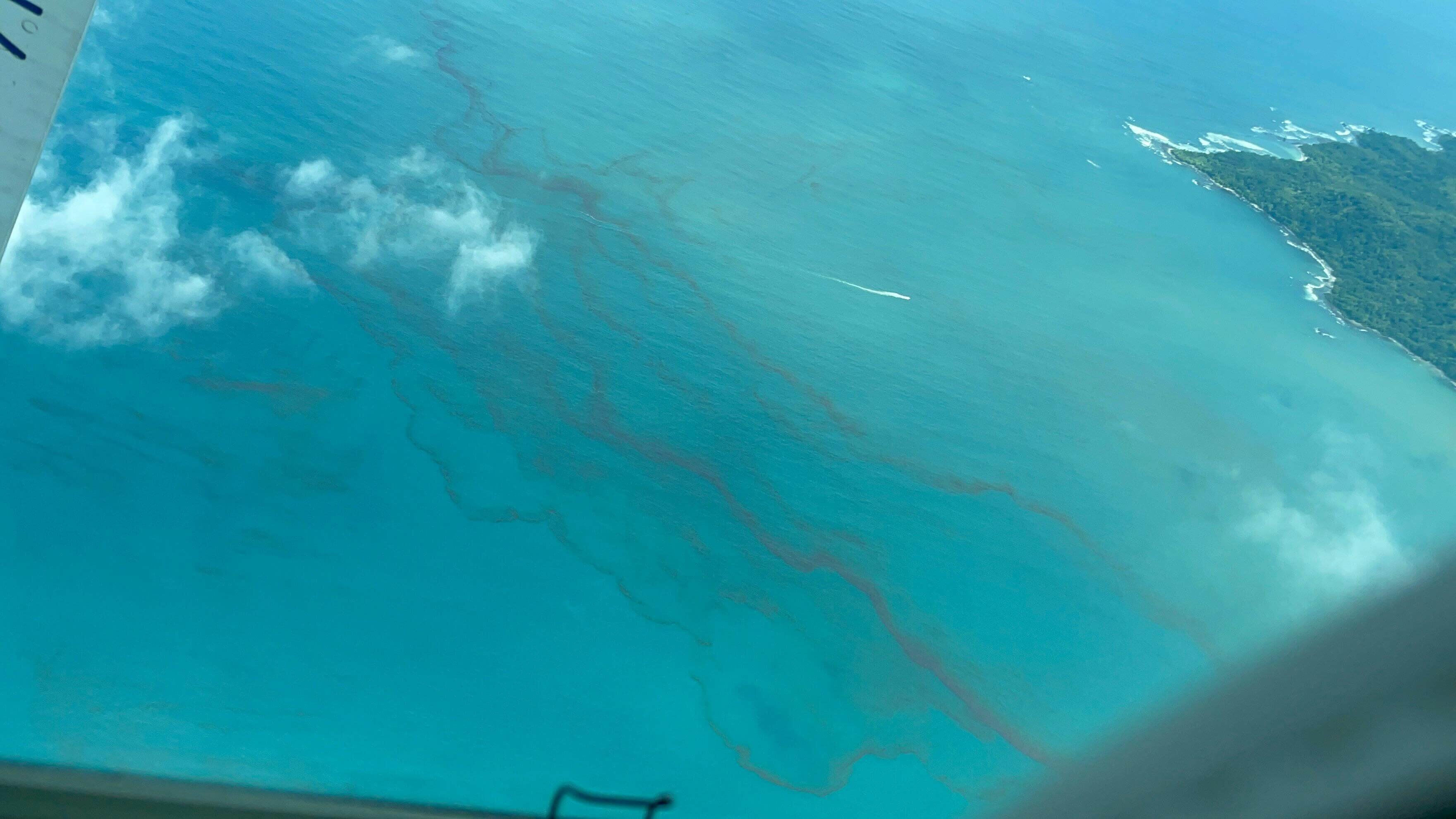 Algal Bloom Emerges in Gulf of Nicoya, Non‑Toxic to Humans