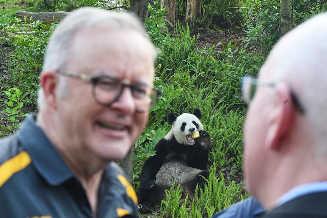 Scott Morrison to Testify Before U.S. Congress on China