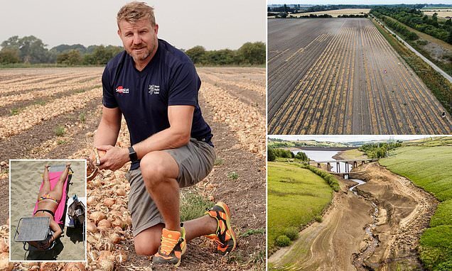 Britain’s Heatwave Prompts Crop Watering Ban for Farmers