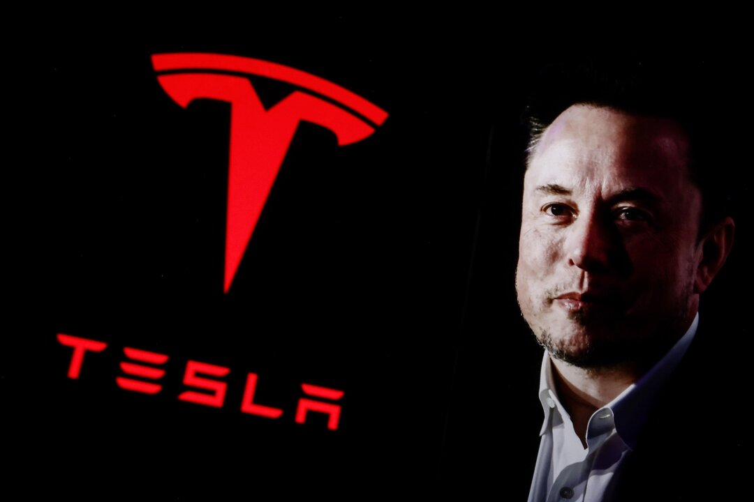 Tesla Posts Sharp Profit Decline, Musk Warns of More Trouble