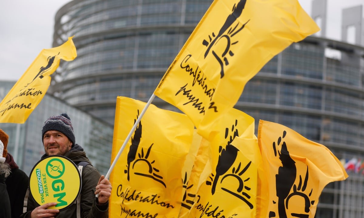 France Pushes Back Against EU-Approved Pesticide