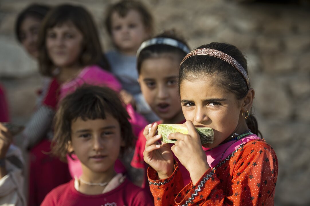 Deutschland sieht sich Gegenreaktionen wegen des Falls der Yazidi-Abschiebung gegenüber.