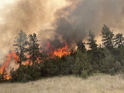 Massive Fire From Bulgaria Spills Into Serbia, Destroys Homes