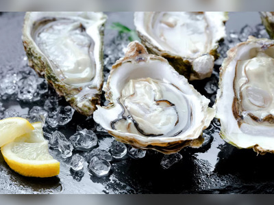 Panama City Prepares for National Oyster Day Festivities on August 5
