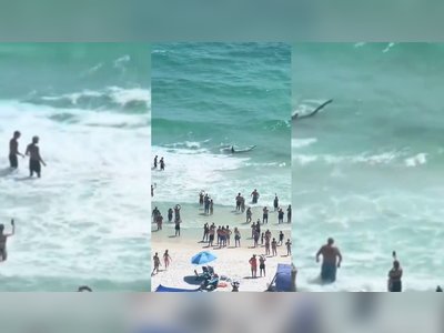Shark and Stingray Battle Caught on Camera at Panama City Beach