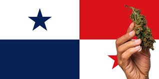 Panama’s Ambassador Embraces Cannabis Policy Reform