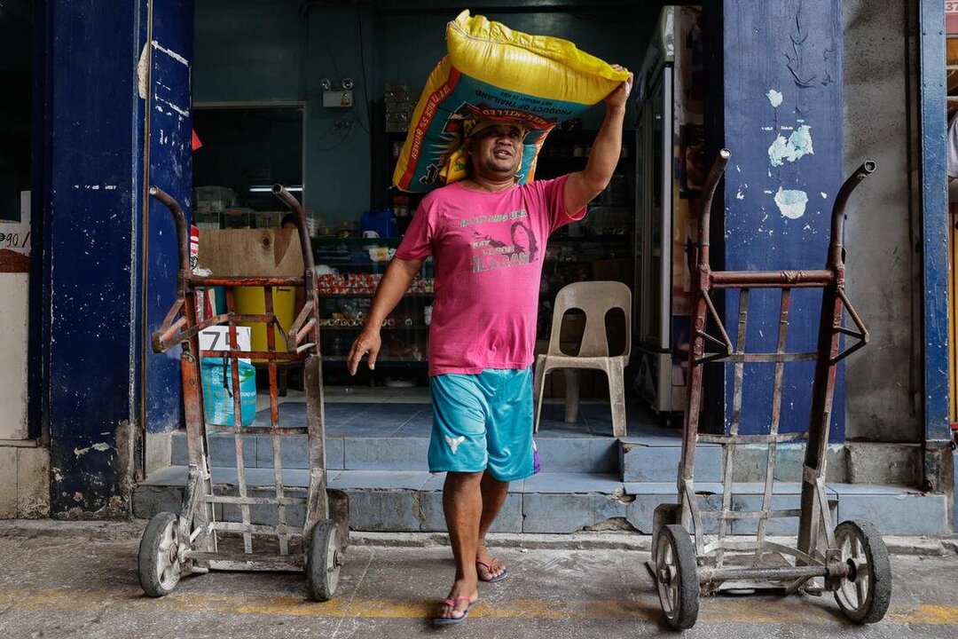 Philippines Halts Rice Imports for 60 Days to Protect Farmers