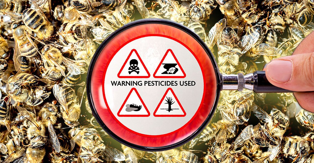 France’s Top Court Blocks Return of Bee-Killing Pesticide