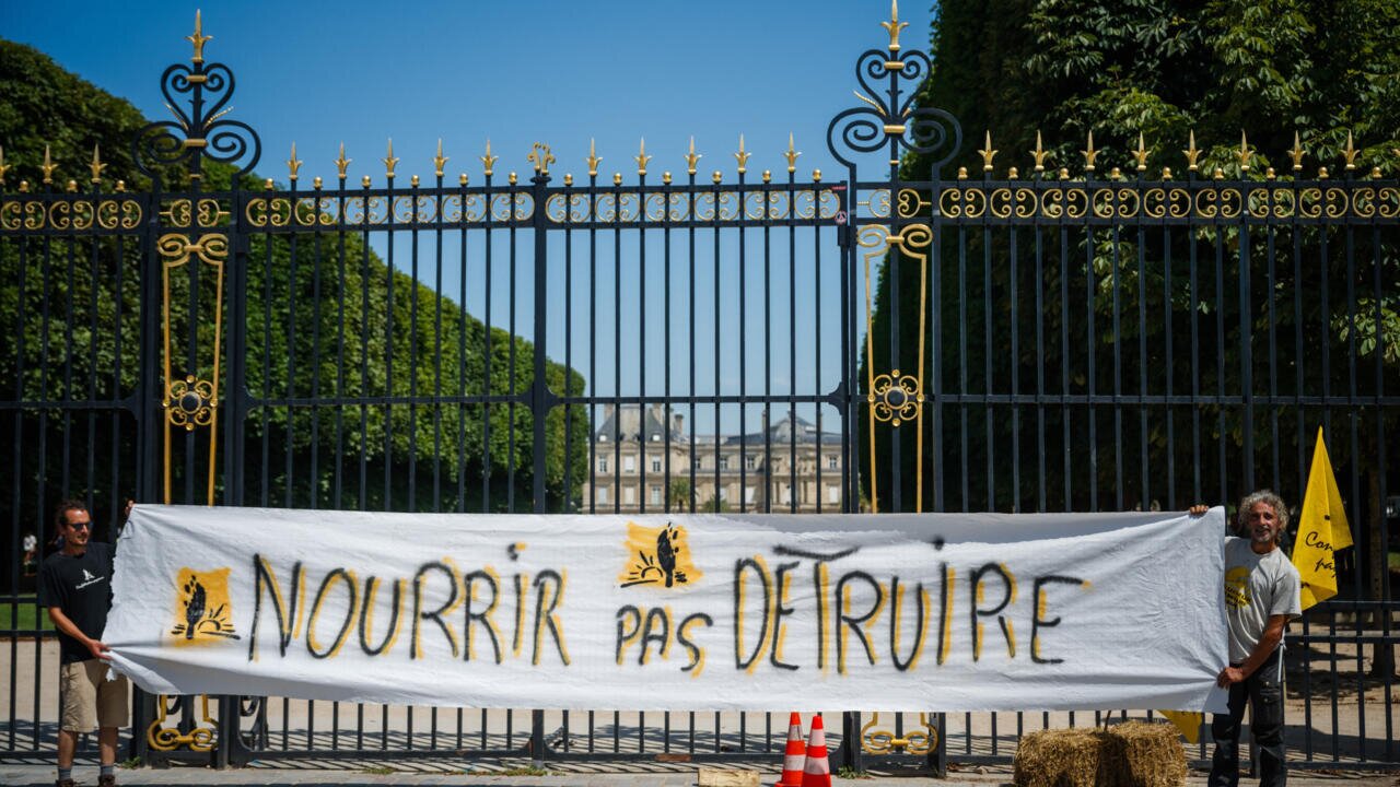 La France maintient l'interdiction d'un insecticide controversé.