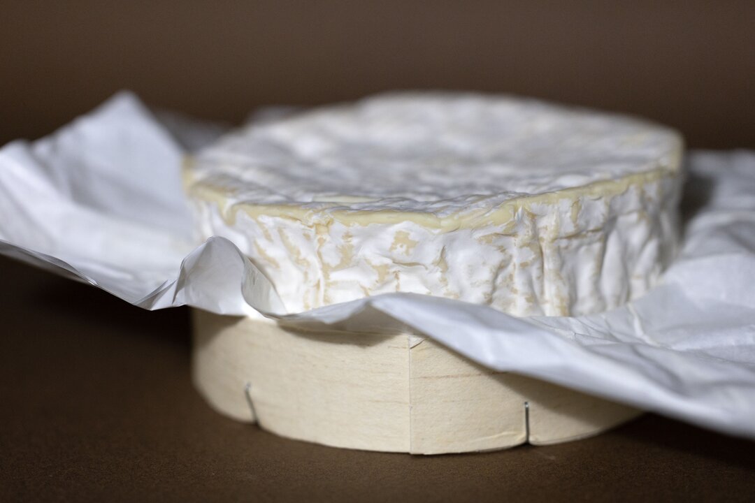 First Listeria Case Linked to French Cheeses Confirmed in Belgium