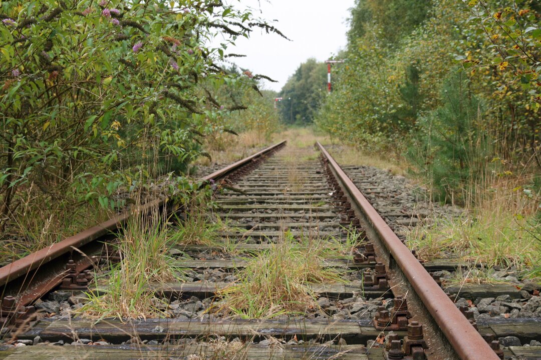 Deutschland, Belgien und die Niederlande drängen auf die Wiedereröffnung der Eisenbahnlinie Eisenrhine.