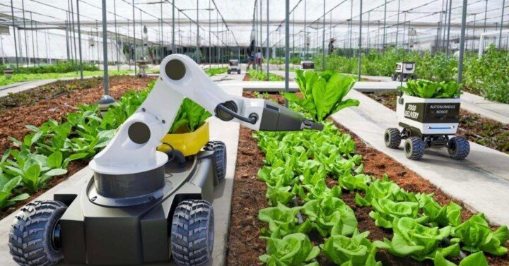 Smart Farming Innovations Transform Philippines’ Agriculture