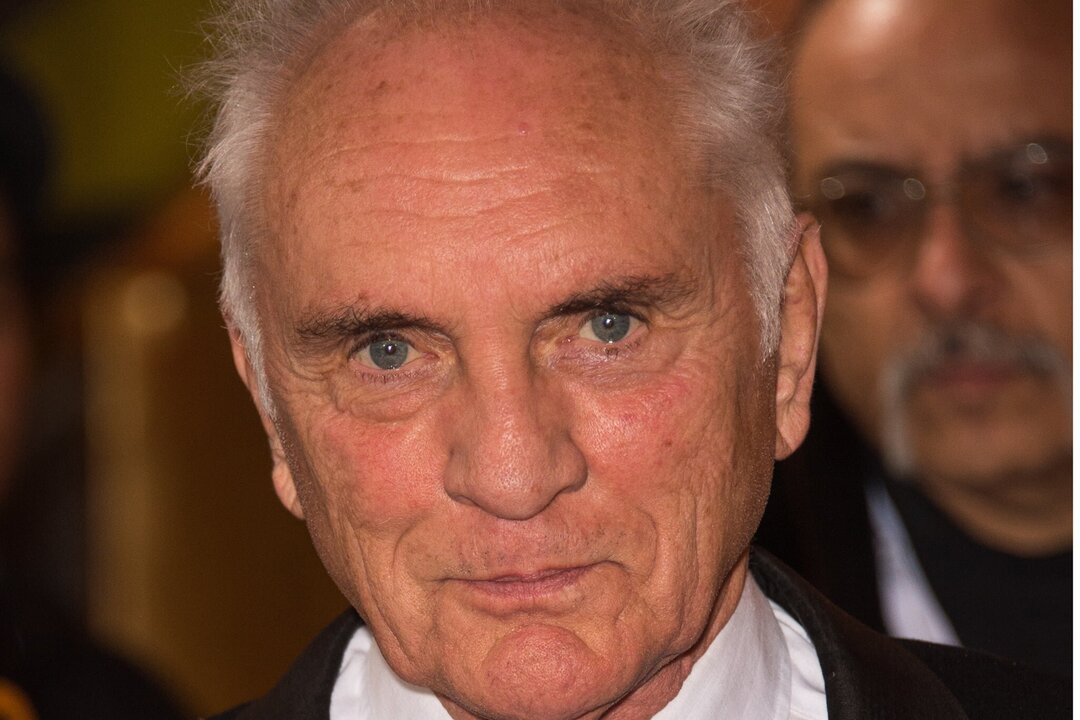 Actor Terence Stamp Dies at 87