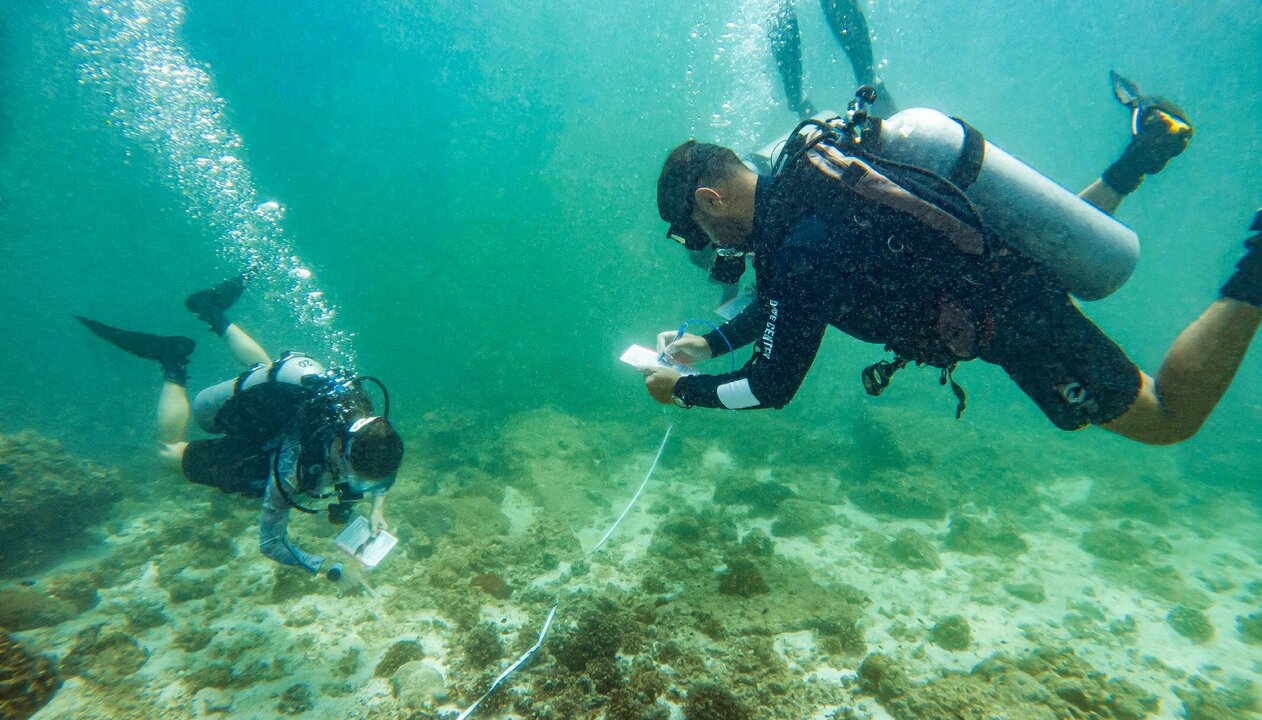 Panama’s St. Andrews State Park Hosts Scuba Diver Cleanup