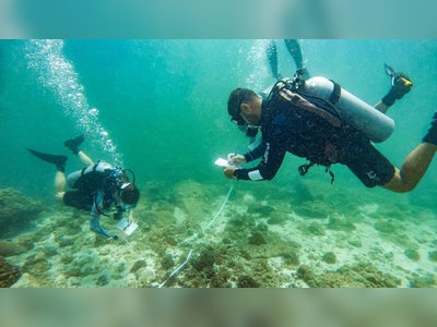 Panama’s St. Andrews State Park Hosts Scuba Diver Cleanup