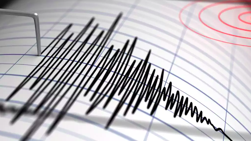 Magnitude 4.5 Earthquake Strikes Southern Panama