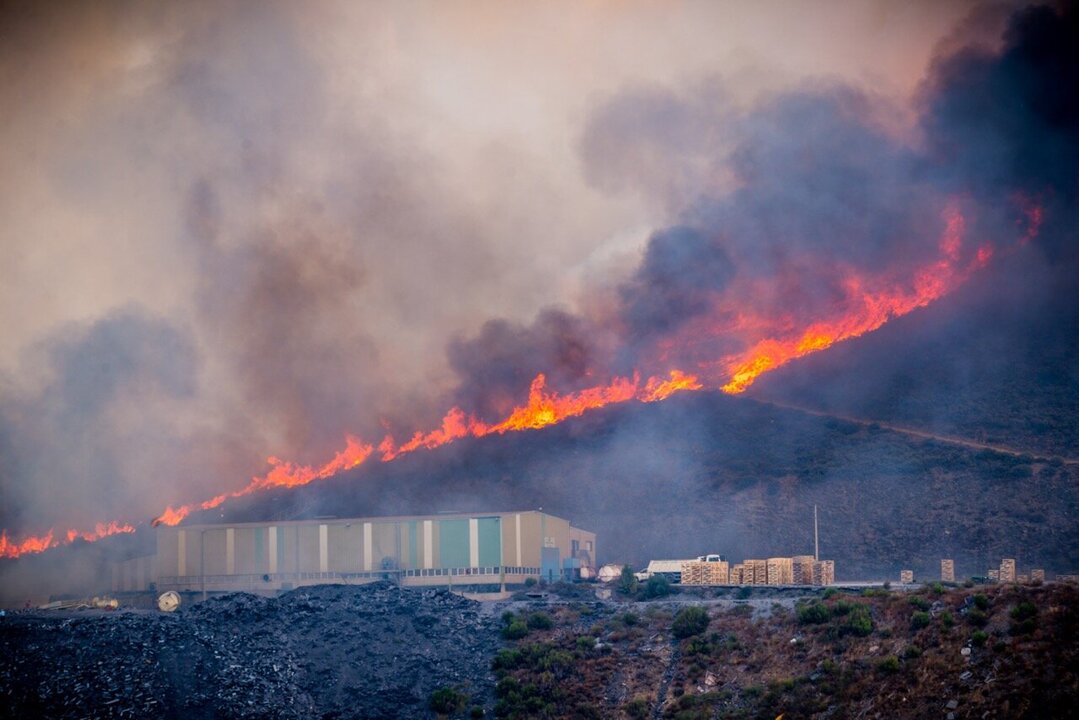 Monaco’s Prince Albert II Voices Solidarity After Iberian Wildfires