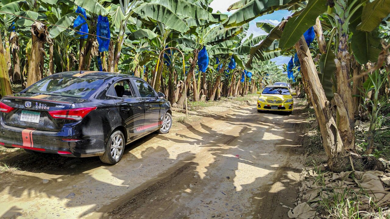 Chiquita Returns to Banana Production in Panama