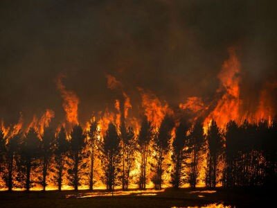 Australia Forecasts Normal Summer Fire Season
