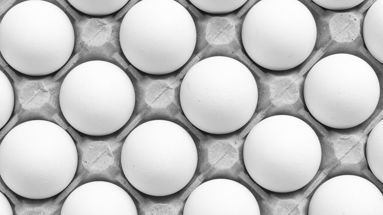 France Warns of Substandard Ukrainian Egg Imports