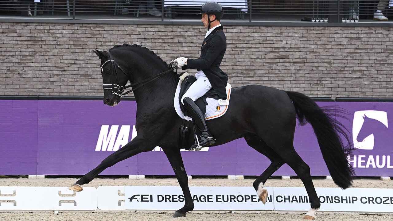 Belgium Celebrates Historic Victory in European Dressage