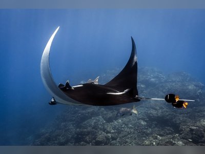 Costa Rica Expands Role in Regional Ocean Conservation