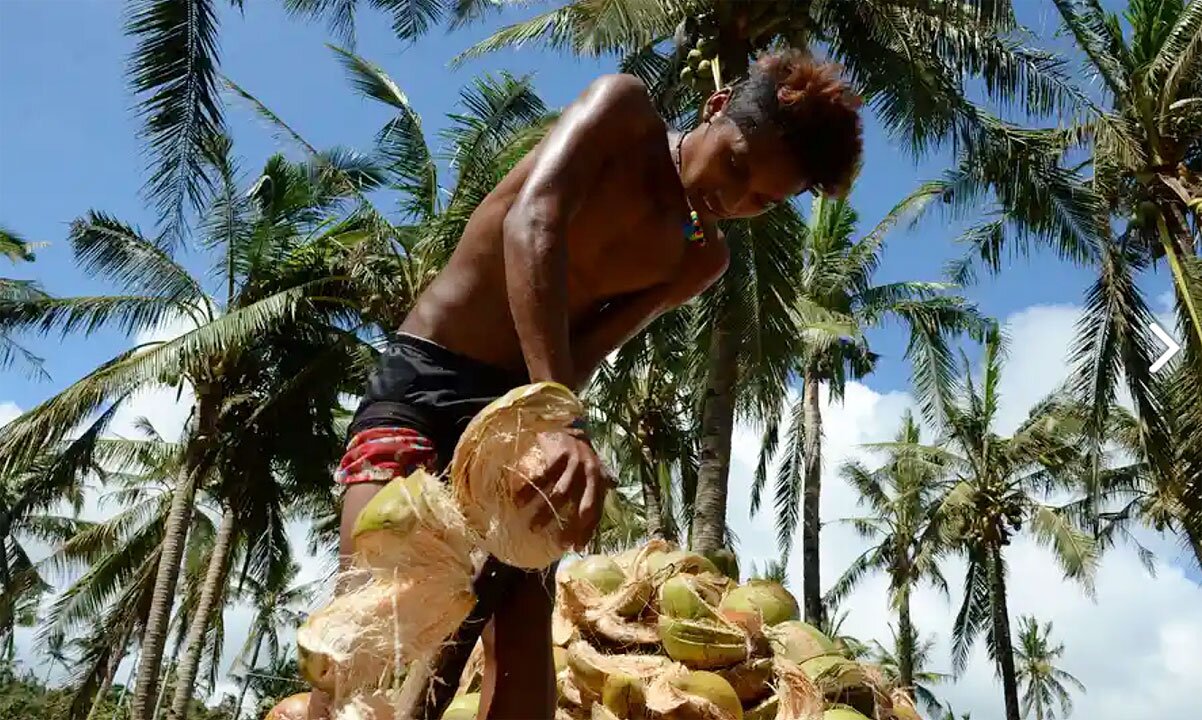 Philippines Seeks Exemption for Coconut Exports from US Tariffs